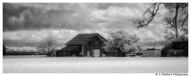 ir-DSC_1510-2