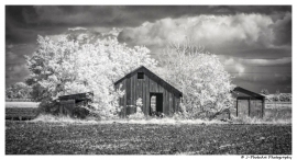 ir-DSC_1529-2-cep4-wm