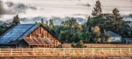 nbennett_landscape-rural__MG_4390-Edit-cep4-wm