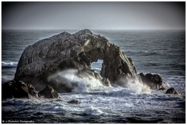 point_lobos-41313_9176-cep4-wm